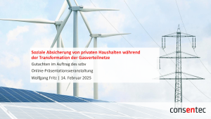 Zusammenfassung: Soziale Absicherung von privaten Haushalten während der Transformation der Gasnetze