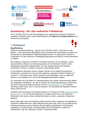 Auswertung | Ein Jahr exekutiver Fußabdruck