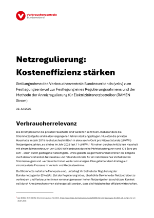Netzregulierung: Kosteneffizienz stärken 
