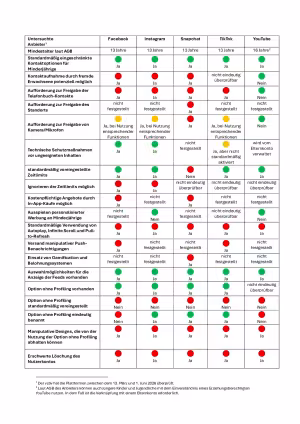 Übersichtstabelle zum Bericht Kinder- und Jugendschutz auf Social-Media-Plattformen