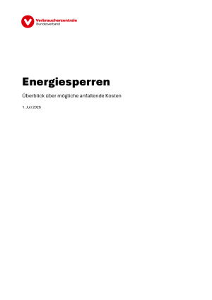 26-07-01 Bericht Liefersperren.pdf