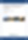 Germany TCO Report Final Report