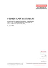 Position paper on AI liability