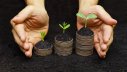 finanzen-oekologische-geldanlage-fotolia weerapat1003-63721674.jpg