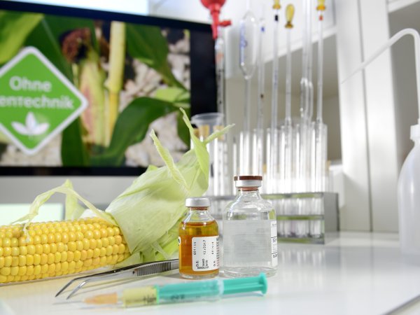 Gentechnik im Lebensmittellabor