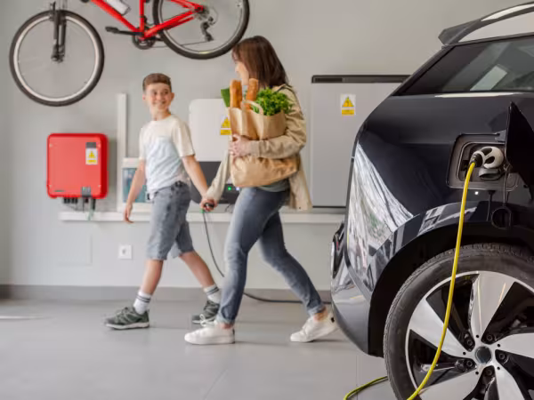 EPW24 - Forderung "Effizienzvorgaben für E-Autos einführen"