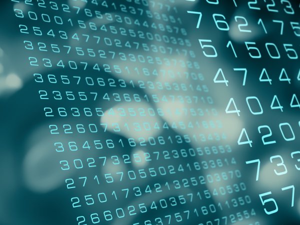 Algorithmen Pablo Lagarto - Adobe Stock