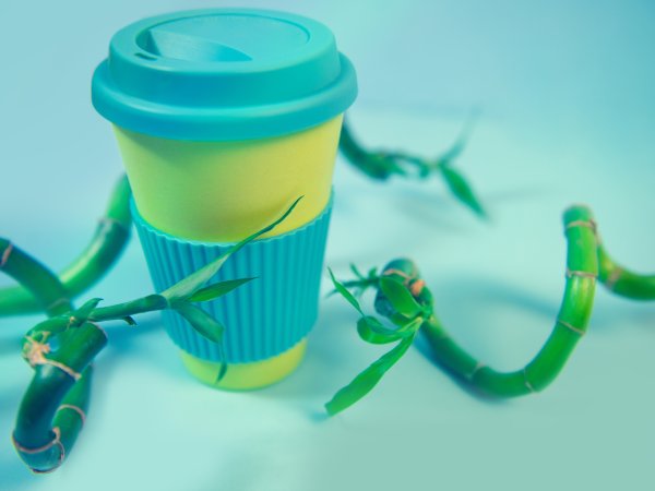 Mehrweg Bambusbecher