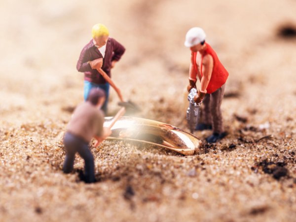 Gold Investment