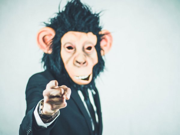 Mensch mit Affenmaske zeigt mit Finger auf dich 