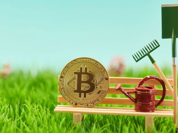  Gespaltenes Verhältnis zu Bitcoin & Co.: Von „Geld der Zukunft“ bis unseriös und undurchsichtig