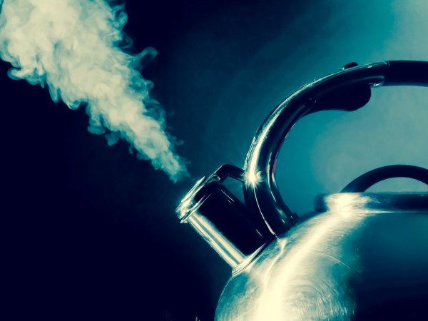 Quelle: Anton84 - adobestock