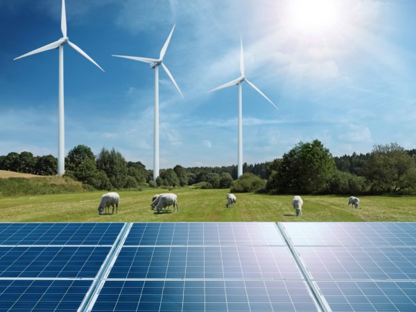 Solarfelder und Windräder auf Wiese
