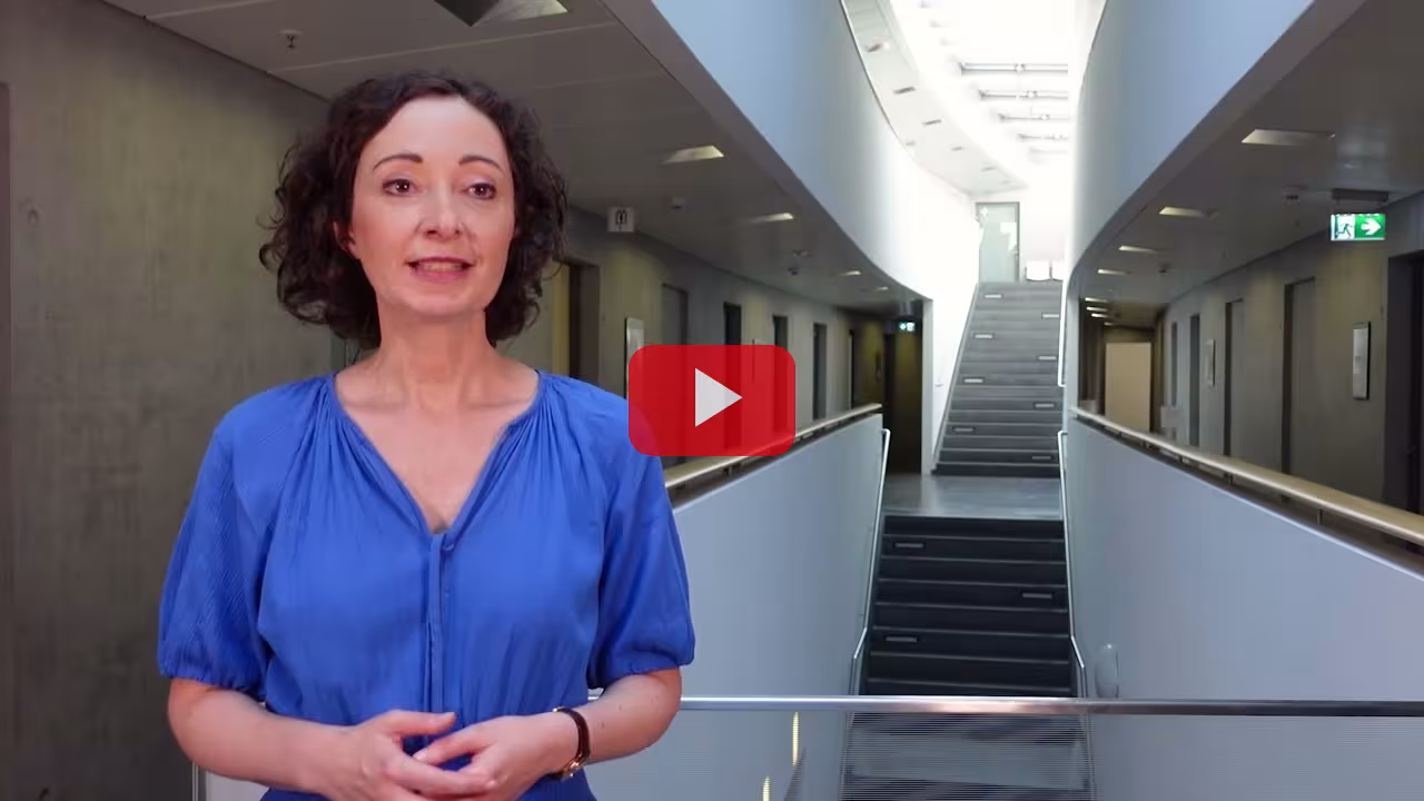 Politikcheck: 3 Fragen 3 Antworten