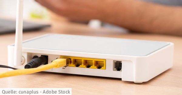www.vzbv.de